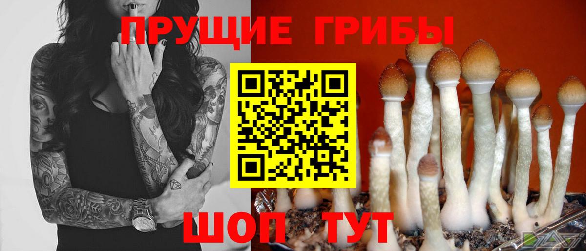 Алатырь  Галлюциногенные грибы прущие грибы  Вход с VPN 